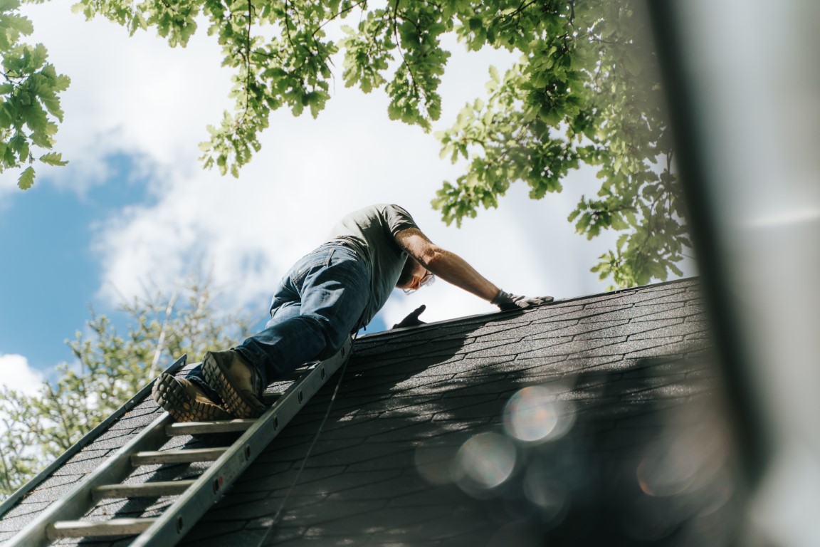 Siding Repair Services Great Neck