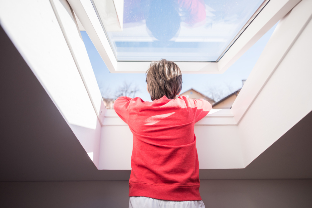 Leaking Skylight Inspection