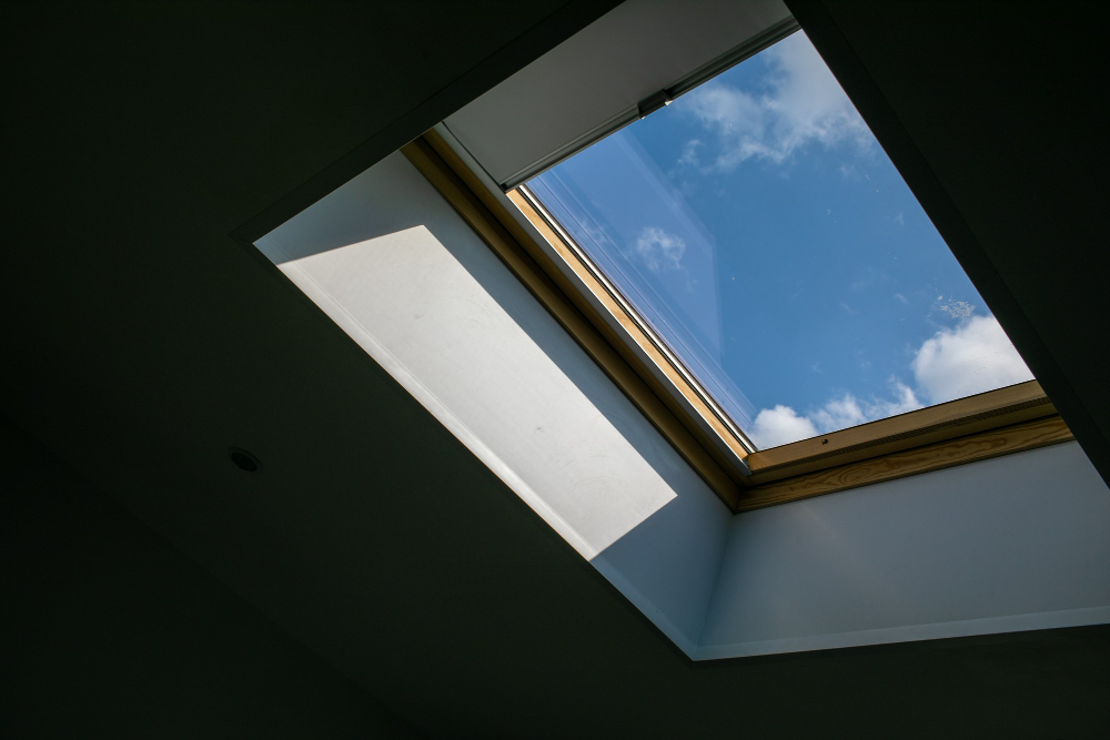 Leaking Skylight Inspection