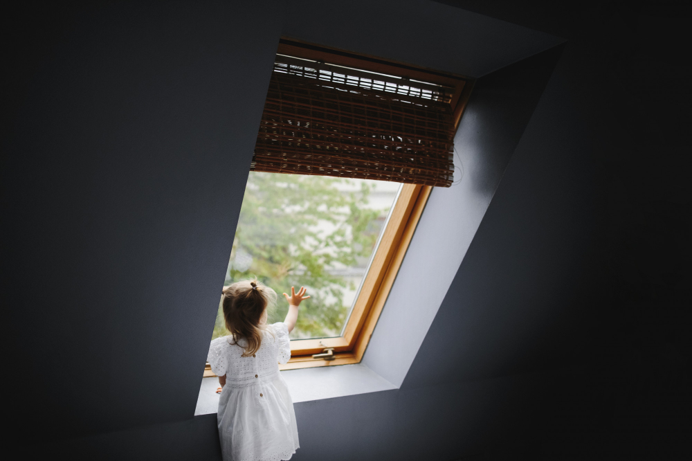 Leaking Skylight Inspection